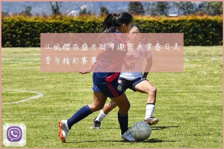 江城樱花盛开时节邀您共赏春日美景与精彩赛事