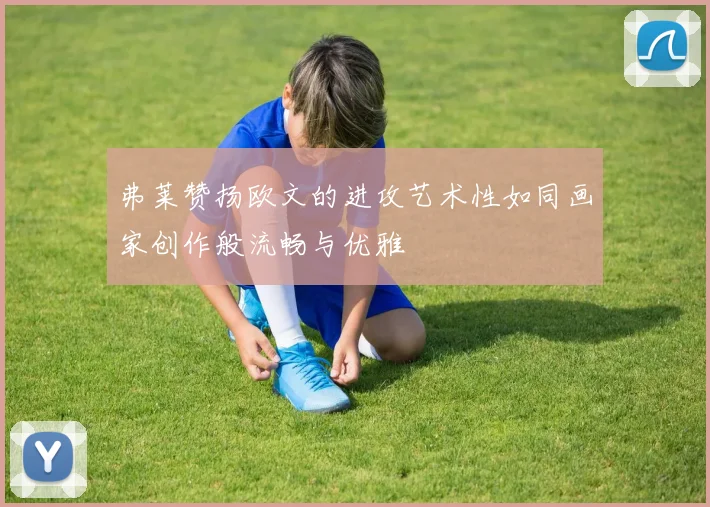 弗莱赞扬欧文的进攻艺术性如同画家创作般流畅与优雅